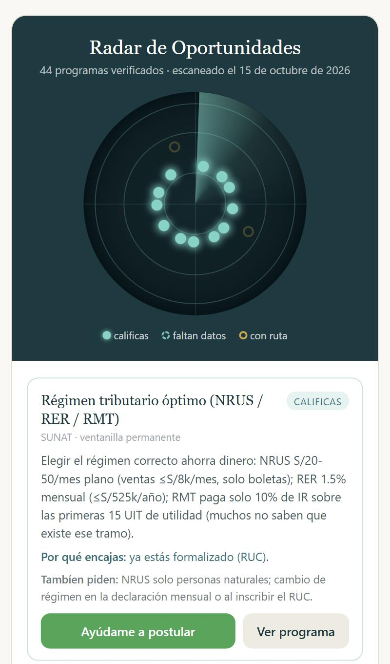 The Opportunity Radar page: a sonar graphic with one dot per matching program, followed by a card for each match with what it offers, why the business qualifies, and buttons to get help applying or see the program